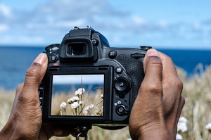 Beste Kameras Naturfotografie